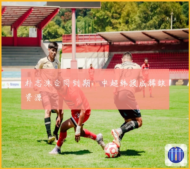 朴志洙合同到期，中超韩援成稀缺资源